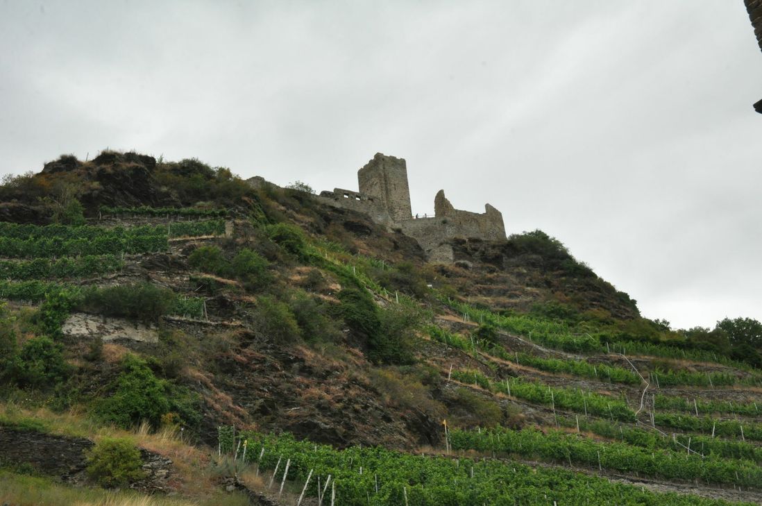 Der Koberner Schlossberg strotzt vor kulturhistorischen Denkmälern und einer großen Vielfalt Pflanzen- und Tierarten.