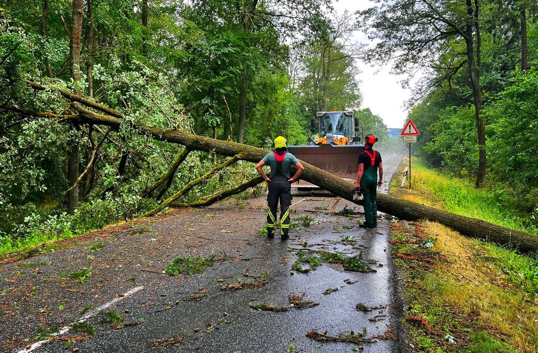 Die Feuerwehr ist im Einsatz, um Bäume von der Fahrbahn zu beseitigen.