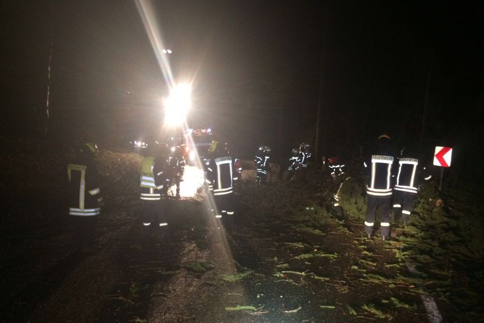 Die Feuerwehren der Verbandsgemeinde Adenau beseitigte viele Bäume von den Straßen. Foto: Feuerwehr VG Adenau