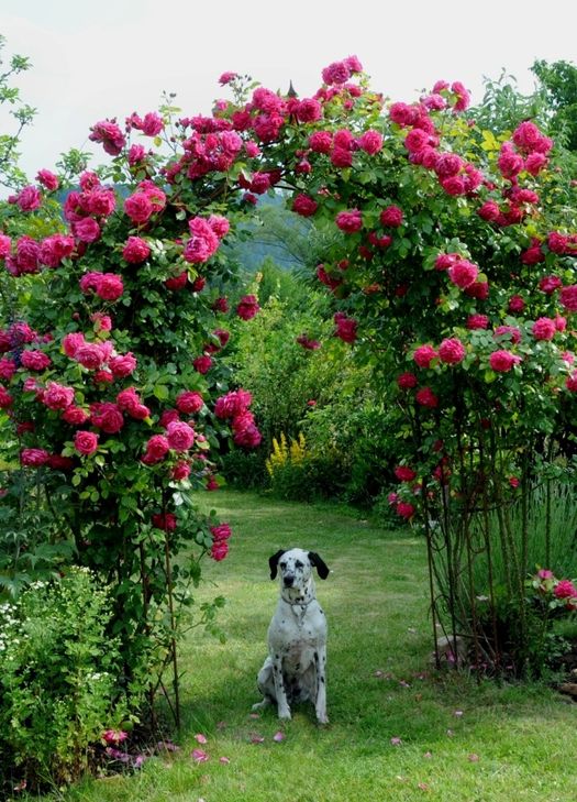 Offene Gartentore laden zum Besuch. Foto: FF