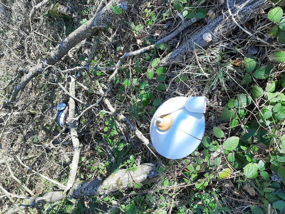 Die Täter haben alte Elektroartikel illegal im Wald entsorgt. Foto: Polizei