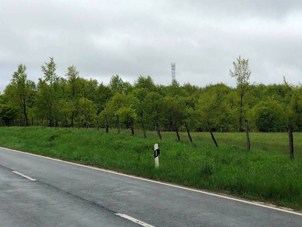 Mobilfunk, Mobilfunkmast, Eicherscheid