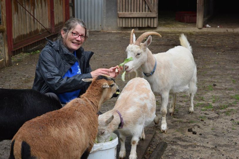 Beate Altmann übernimmt einmal in der Woche die Fütterung der Tiere. Foto: Nolden