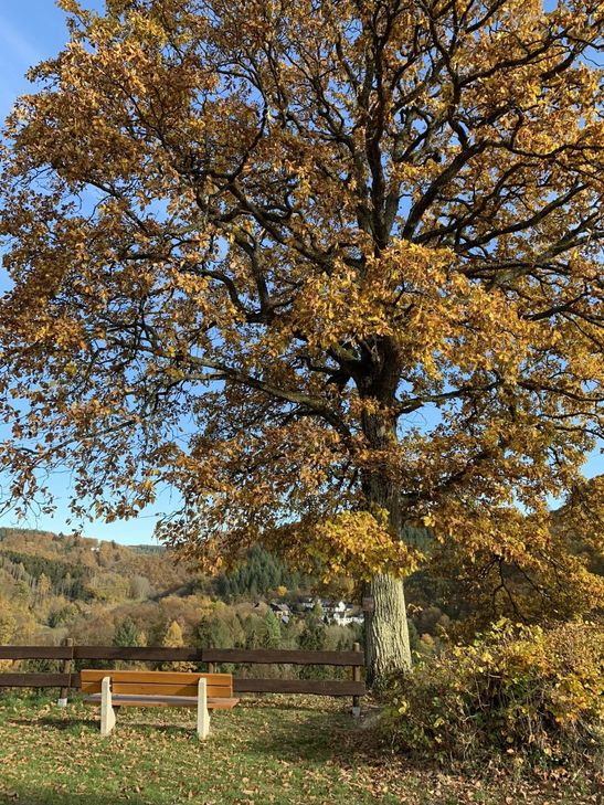 Idylle auf dem Burghof.