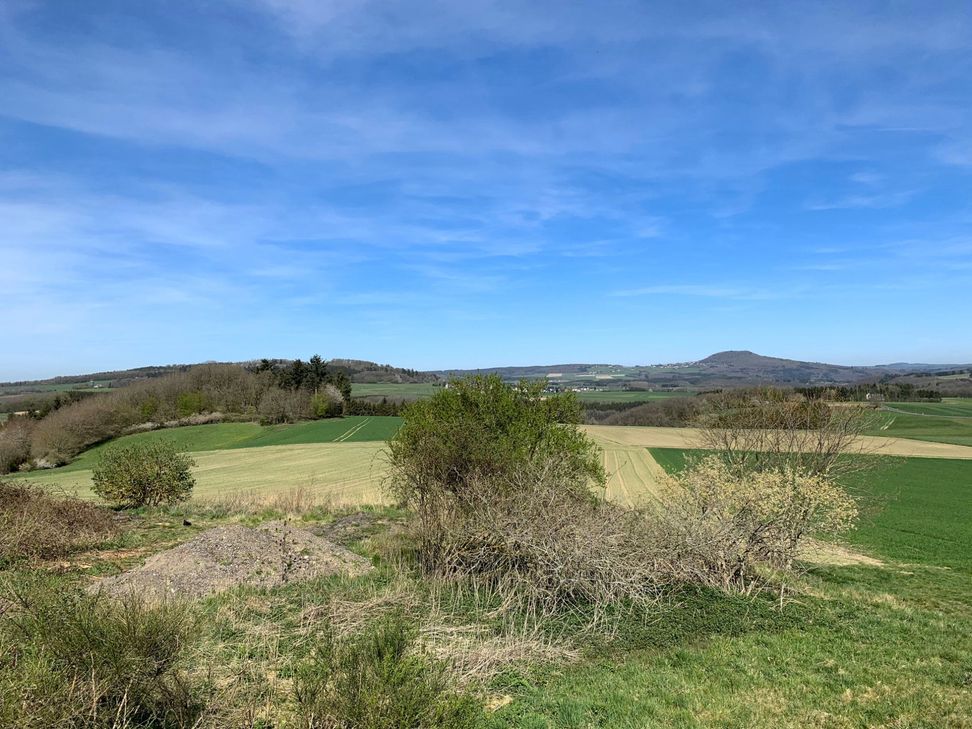 In der Ferne der Aremberg.