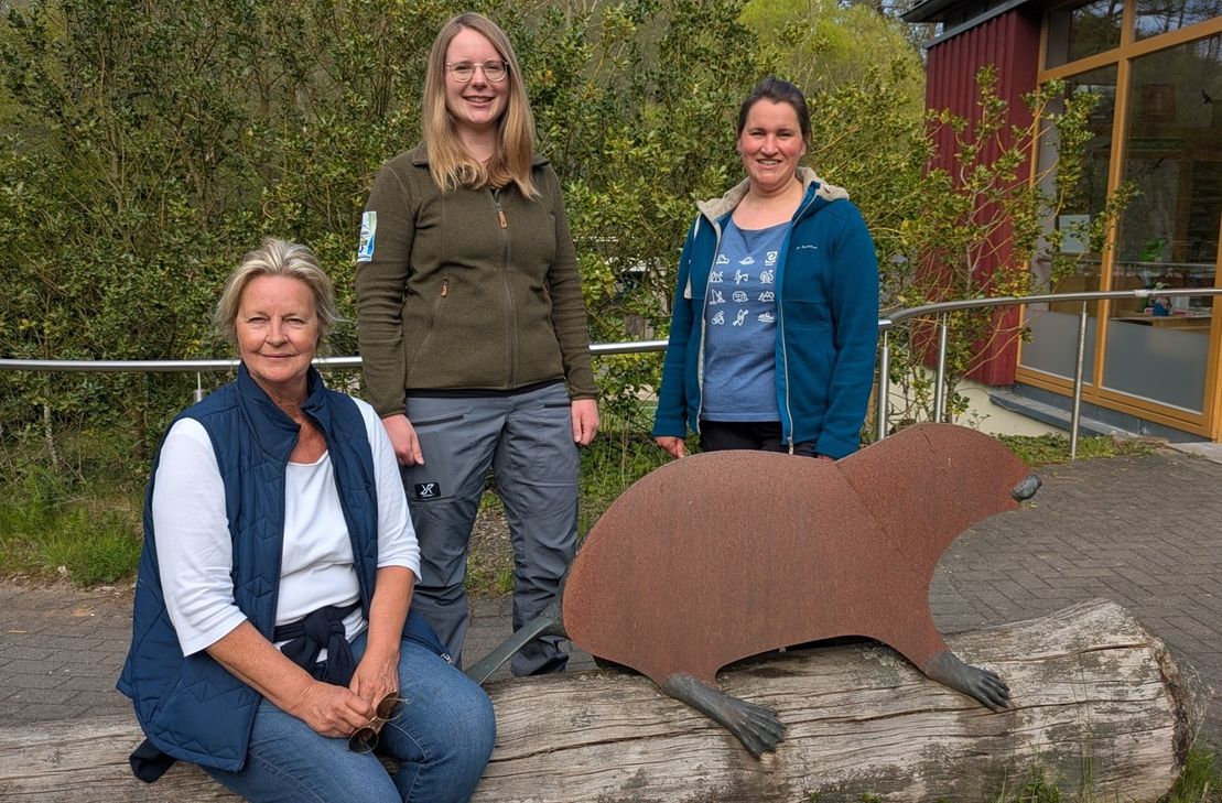 Drei Akteurinnen, ein Ziel: Unterstützt durch die langjährige Erfahrung von Karin Birkhoff (l.) in der Geschäftsstelle steuern Jasmin Daus (Mitte) aus der Nationalparkverwaltung und Emily Goenen (r.) von der Eifel Tourismus GmbH seit Jahresbeginn die Geschicke der Nationalpark-Gastgeber.