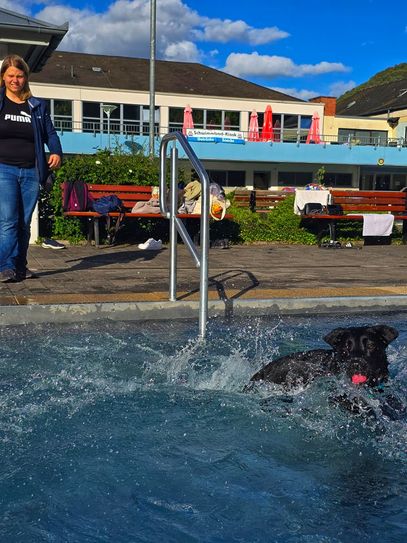 Flugphase mit Ansage: Labrador Baghira, der Vierbeiner von »Frauchen« Nina Becker (Idar-Oberstein), legte beim Hundeschwimmen die mit Abstand weitesten Sprünge hin.