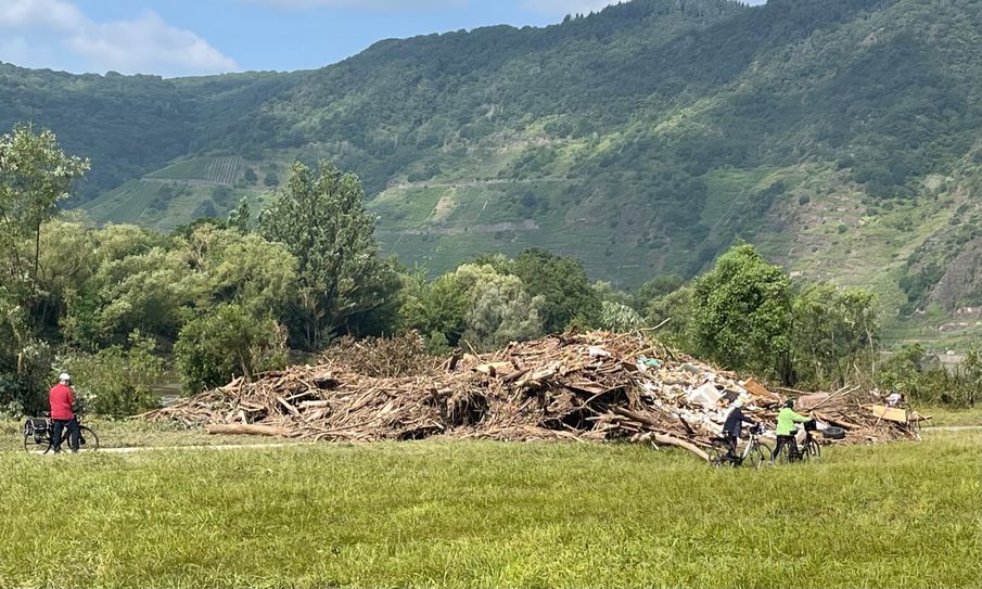 Ein riesiger Berg Schwemmgut türmt sich auf einer Moselwiese bei Ediger-Eller.