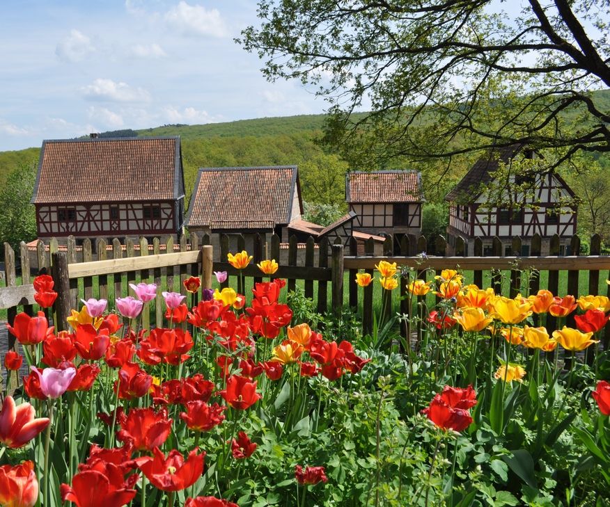 Das Freilichtmuseum in Bad Sobernheim gleicht zurzeit einem Blütenmeer.
