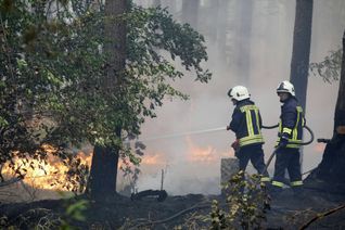 Die Trocken- und Hitzeperiode hält weiter an. Dadurch steigt die Waldbrandgefahr. Im Bild: der große Waldbrand zwischen Dreieck Potsdam und Fichtenwalde im Juli 2018 Foto: imago images / Future Image