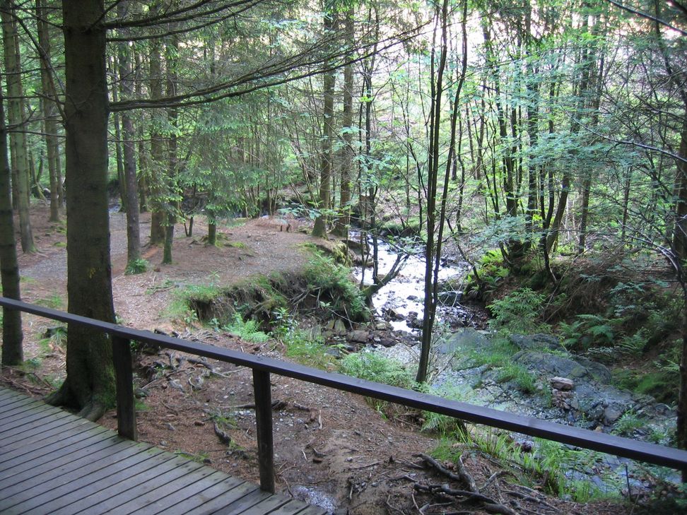 Am wild-romantischen Ghasterbach.