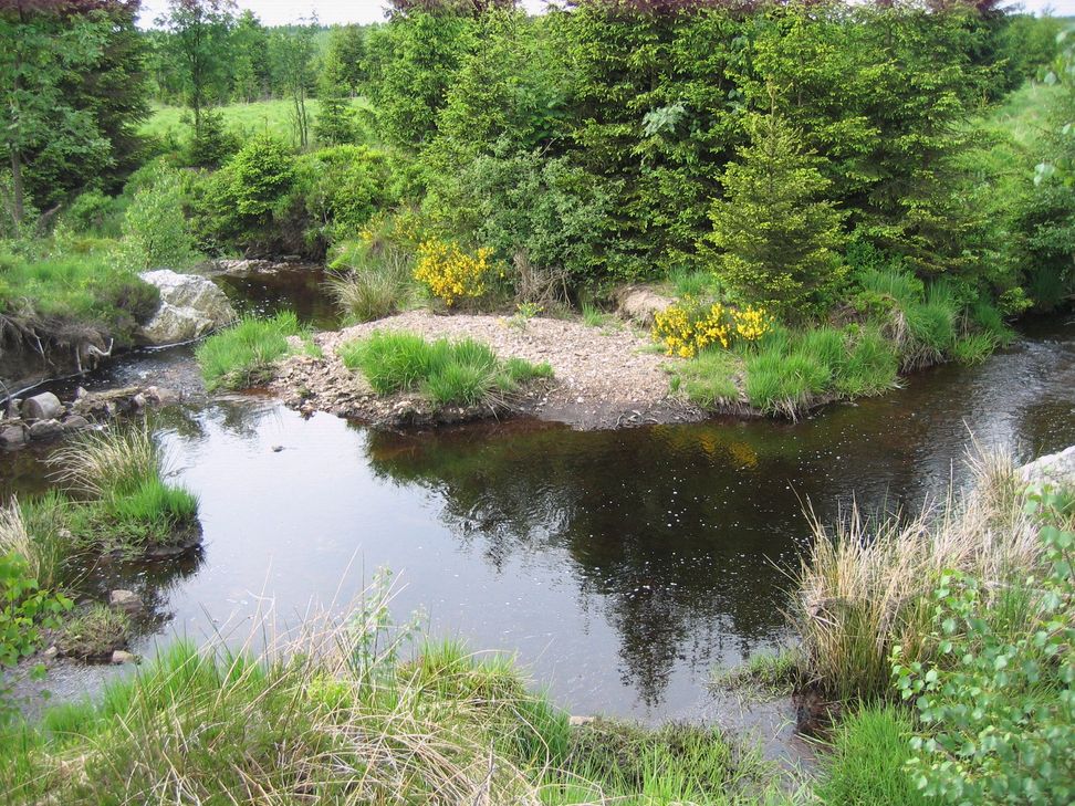 Pfad entlang des Polleurbachs.