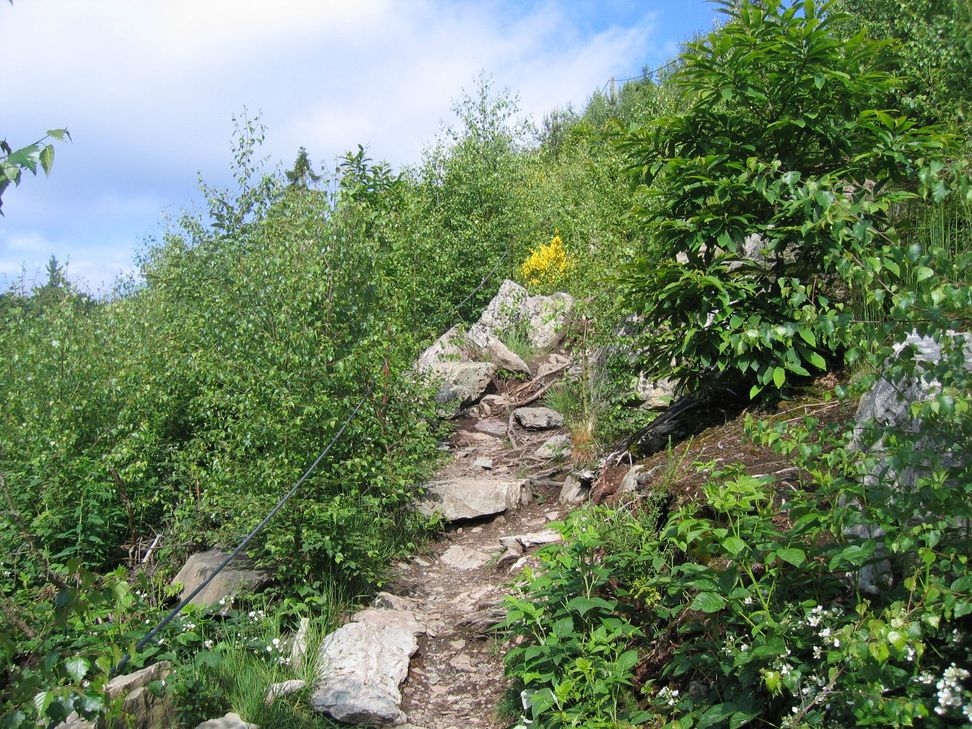 Steiler Steig zur Burg Reinhardstein.