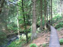 Vennpisten tragen trockenen Fußes durch das Moor im Fraineuvenn.