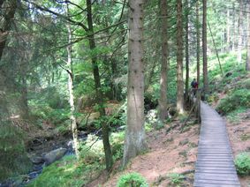 Vennpisten tragen trockenen Fußes durch das Moor im Fraineuvenn.