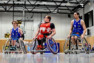 Starke Defensive, klare Führung: Dolphins überzeugen zu Hause