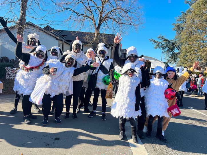 Bald ist es soweit: Der Straßenkarneval wird in vielen Orten der Kommunen Bad Münstereifel, Euskirchen, Zülpich und Weilerswist für gute Stimmung, reichlich Kamelle und Strüßjer sorgen sowie viele fantasievolle Kostüme präsentieren.