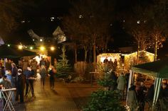 Am Samstag und Sonntag, 7./8. Dezember, erstrahlt der Park Monéteau in weihnachtlichem Glanz. Foto: FF