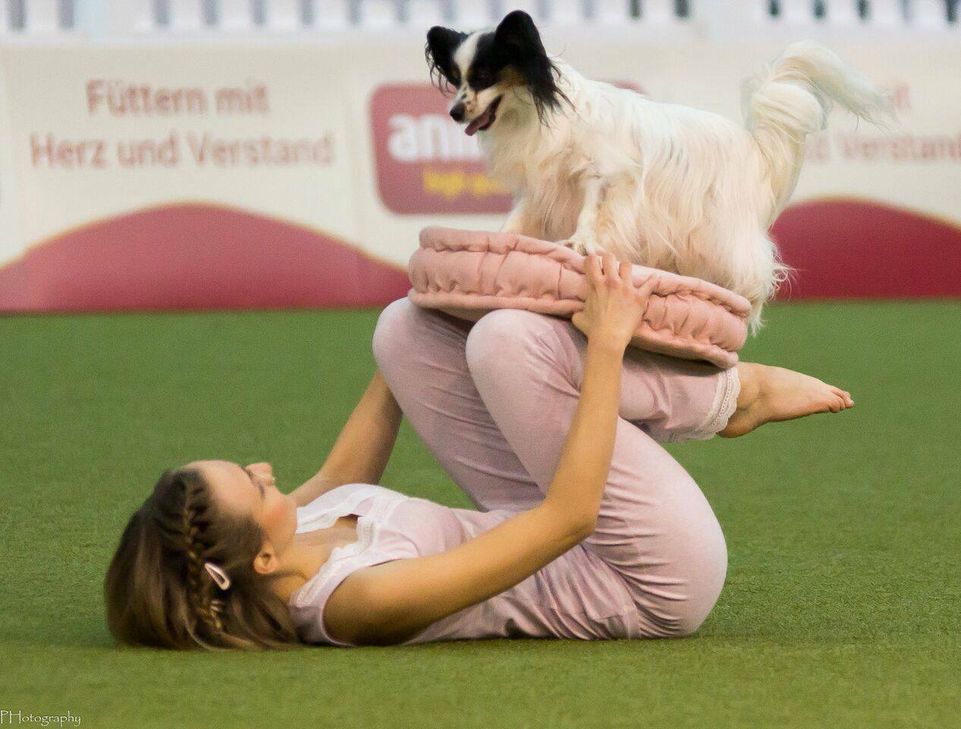Cora beim Dog-Dance in ihrem Element. Foto: Carmen Schmid