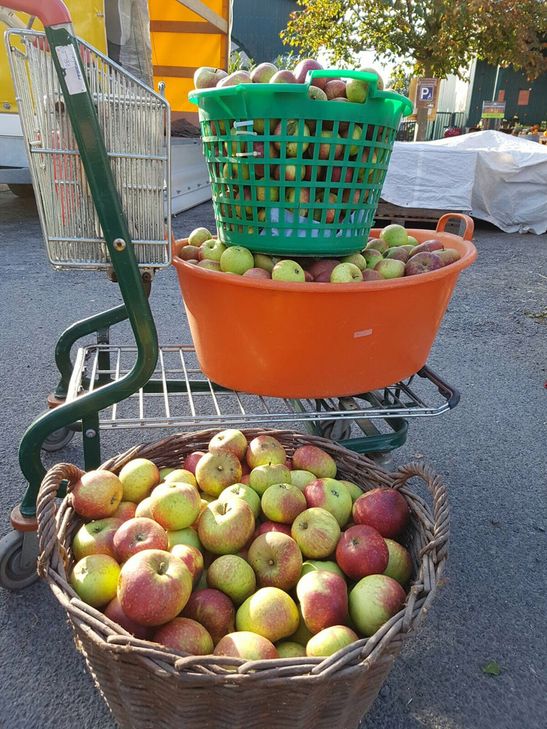 Köstlicher Anblick: Wer mehr als 50 Kilogramm Äpfel mitbringt, erhält seinen eigenen Apfelsaft aus dem Saftmobil.
