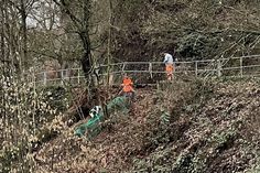 Am Reverchonweg ist am Sonntag ein Baum umgestürzt und riss Teile des Hangs mit sich. Ein größerer Sandsteinbrocken rollte Richtung Bitburger Straße.