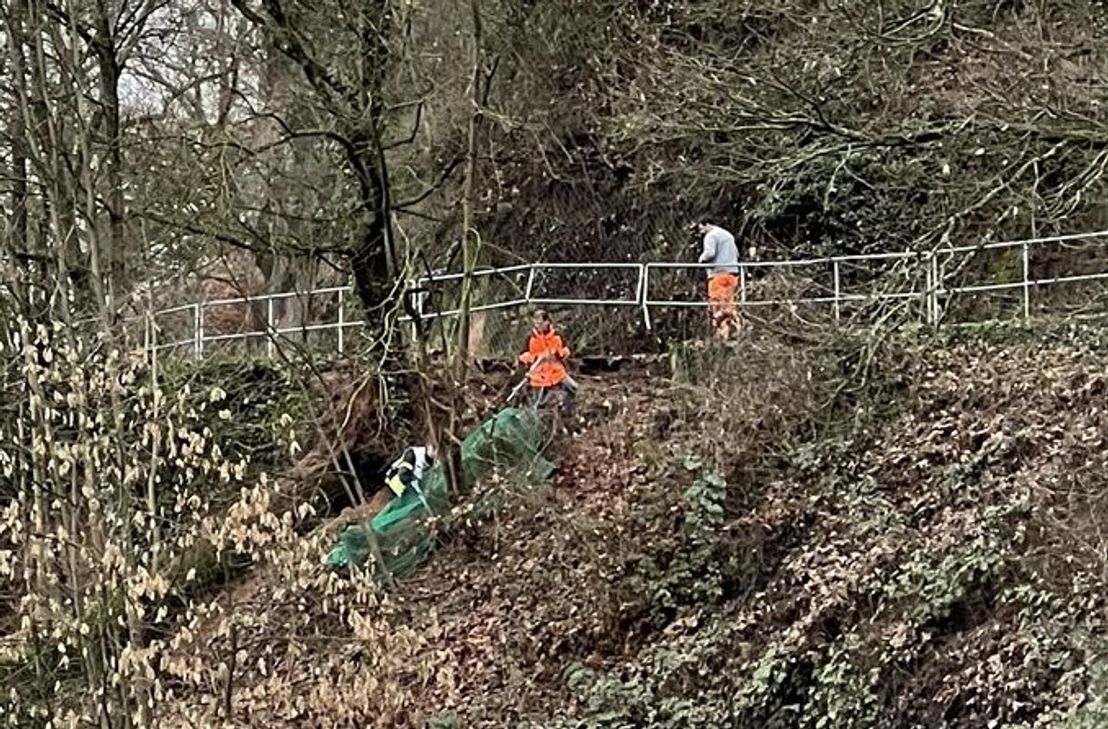 Am Reverchonweg ist am Sonntag ein Baum umgestürzt und riss Teile des Hangs mit sich. Ein größerer Sandsteinbrocken rollte Richtung Bitburger Straße.