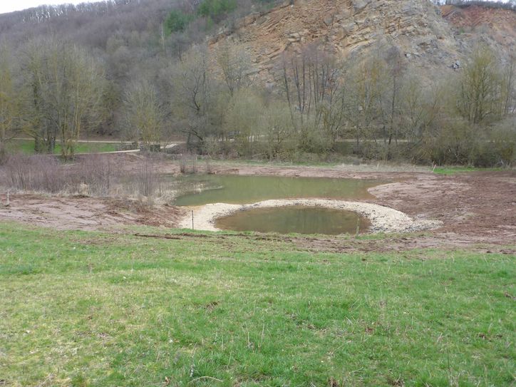 Am Steinbruch im Eschweiler Tal wurde jetzt ein Folienteich angelegt, um das angrenzende Laichgewässer dauerhaft und länger mit Wasser zu versorgen. Foto: Daniel Boos / UNB