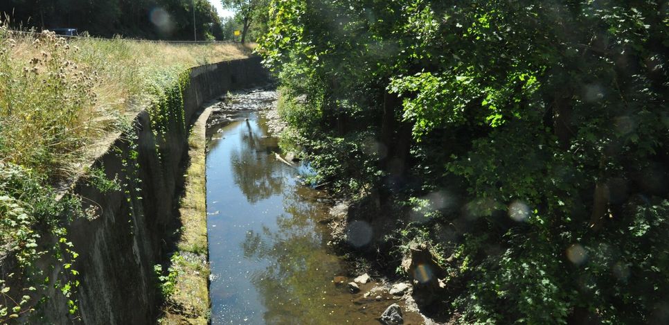 An der Nette soll in Höhe der Sagnesmühle ein Treibgutrechen installiert werden.