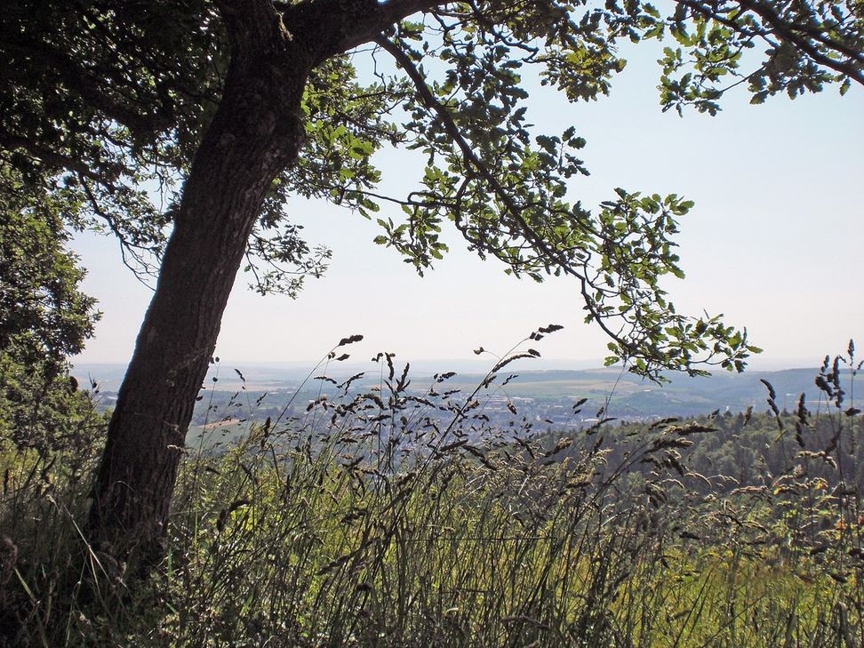 Wandern im Mayener Stadtwald bietet dank der vielen schönen Ausblicke tolle Eindrücke und echte Erholung.