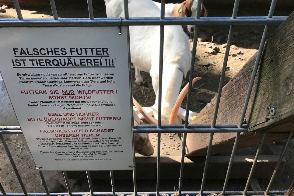 Nur das in den Automaten angebotene Futter darf im Wildgehege an die Ziegen verfüttert werden. Foto: Presseamt Trier