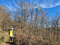 In Hönningen war in unmittelbarer Nähe der Start- und Landebahn für Gleitschirmflieger ein Pilot in einem Baum geraten und wurde von der Absturzsicherungseinheit der Freiwilligen Feuerwehr der VG Altenahr glücklicherweise unverletzt aus seiner misslichen
