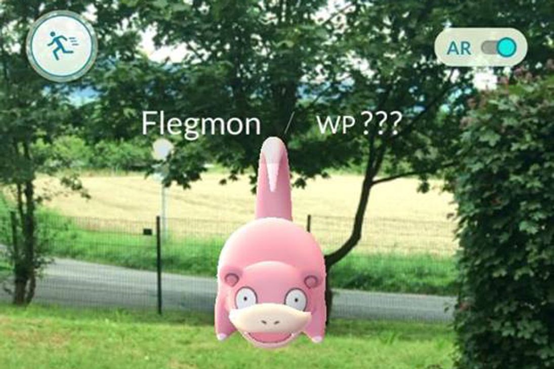 Die kleinen Monster verstecken sich überall. Foto: Pees