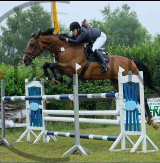 Spring- und Dressurreiter sind am Wochenende zum Turnier nach Eicherscheid geladen. Foto: Reit- und Fahrverein Eicherscheid