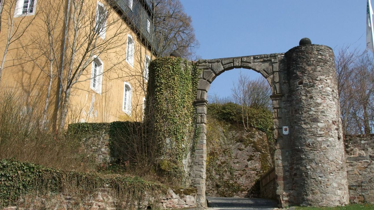 Um 1297 wird erstmals schriftlich ein Ritter Conrad von Tronecken erwähnt, etwas später die "Feste Troneck", die aber wahrscheinlich viel älter ist. Foto: Fischer