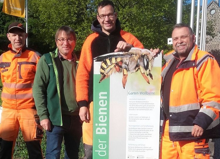 Die Mitarbeiter der Gärtnerkolonne des städtischen Betriebshofes, Markus Hoffmann, Wolfgang Seul, Lars Assenmacher und Stephan Rösler, beim Aufstellen der Schautafeln.