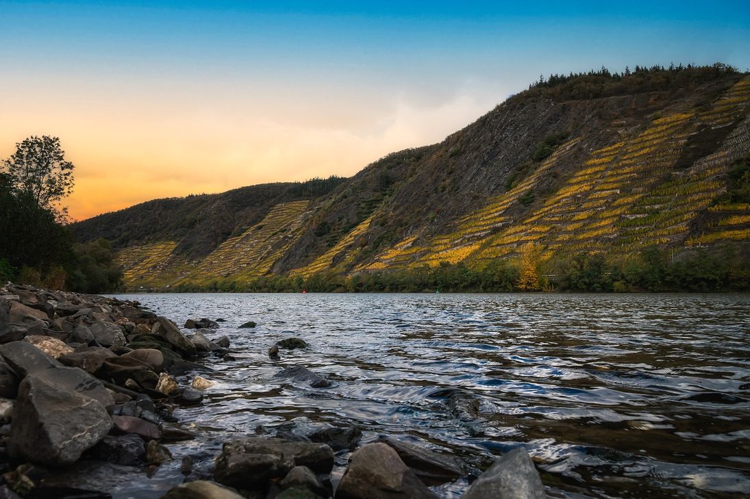 Müll und Abfall sammeln sich häufig an den Ufern der Mosel an. Am 14. September, dem MoselCleanUp-Herbstsammeltag, werden diese verborgenen Schätze gesammelt und die Ufer der Mosel von Müll befreit.