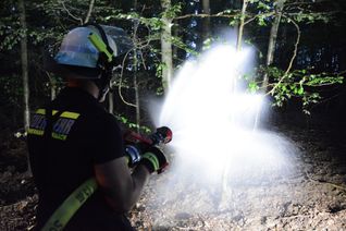 Bei einer Großübung der Freiwilligen Feuerwehr im Jahr 2023 wurde im Bereich Wolfgarten ein Waldbrand simuliert, um den Ernstfall zu üben.