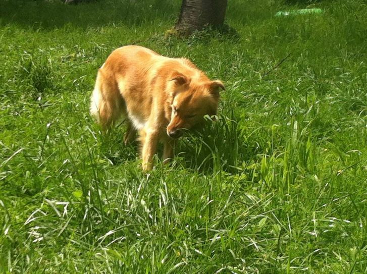 Foto: Symbolbild/Archiv