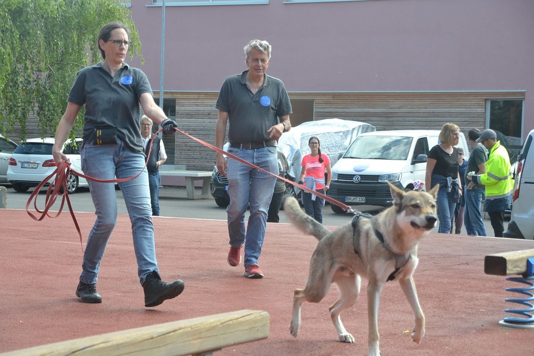 Auch außerhalb des Satzveyer Bunkers nahmen die Suchhunde der „Mantrailer“ allerlei Fährten auf. Foto: Cedric Arndt/pp/Agentur ProfiPress