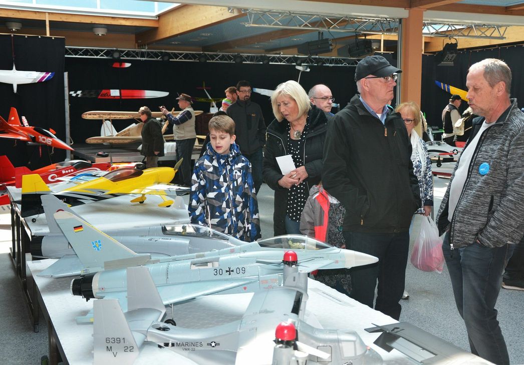 Modellflugzeuge gab es bei den Goßbergfalken zu bestaunen. Foto: Gassen