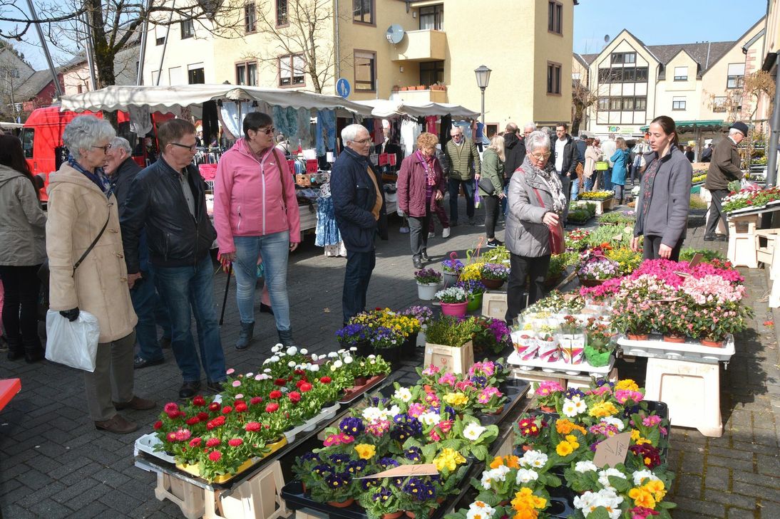 Das Blumenangebot passte zum frühlingshaften Tag. Foto: Gassen