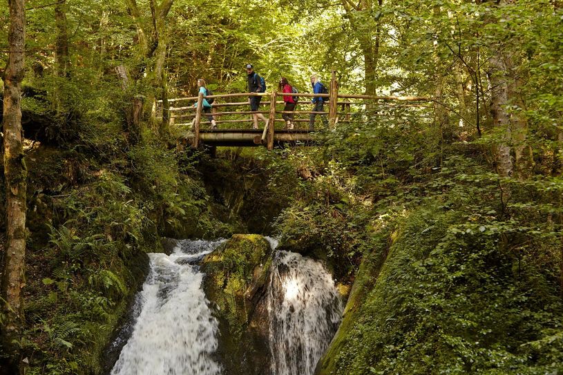 Der Wanderweg "Im Tal der wilden Endert" bietet Natur pur.