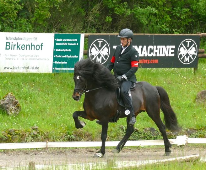 Der siegreiche Elite-Zuchthengst Stjörnustaell frá Dalvík, Vater von Hannibal, mit Achim Nelles im Sattel bei einem Turnier in Roderath.