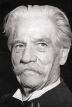 Albert Schweitzer spielte in Birkenfeld einst auf der Orgel.