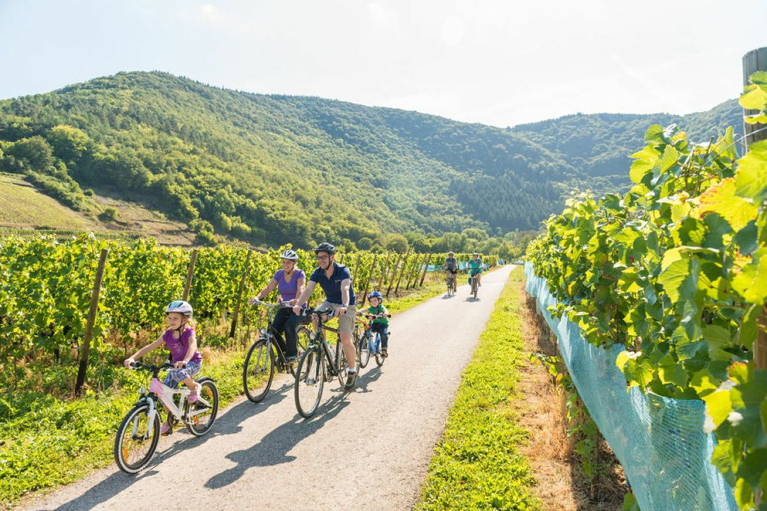 Ausflüge mit dem Fahrrad sind derzeit bei den Besuchern im Kreis Ahrweiler – wie hier zwischen den Weinstöcken bei Mayschoß – sehr gefragt. Symbolfoto: Dominik Ketz