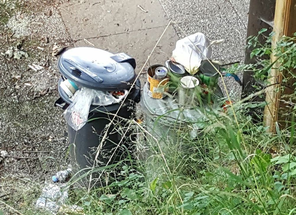 Auch ein vertrautes Bild: Überquellende Abfalleimer am Wegesrand. mn-Foto