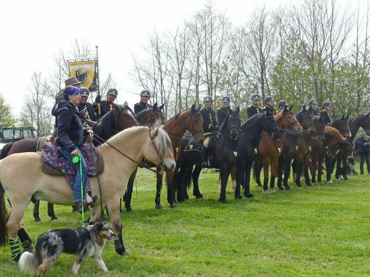 Ross und Reiter, aber auch andere Tiere werden in Huppenbroich gesegnet. Foto: GKB