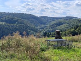 Auf dem Hühnerküpp. NAE-Foto