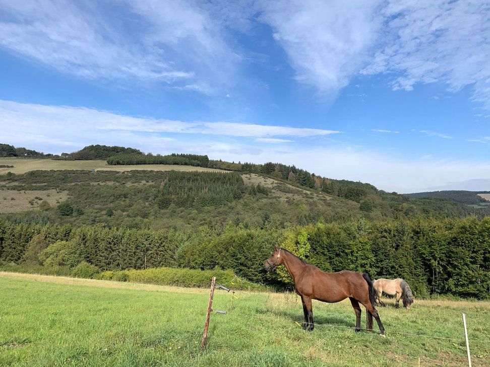 Immer wieder herrliche Aussichten.
