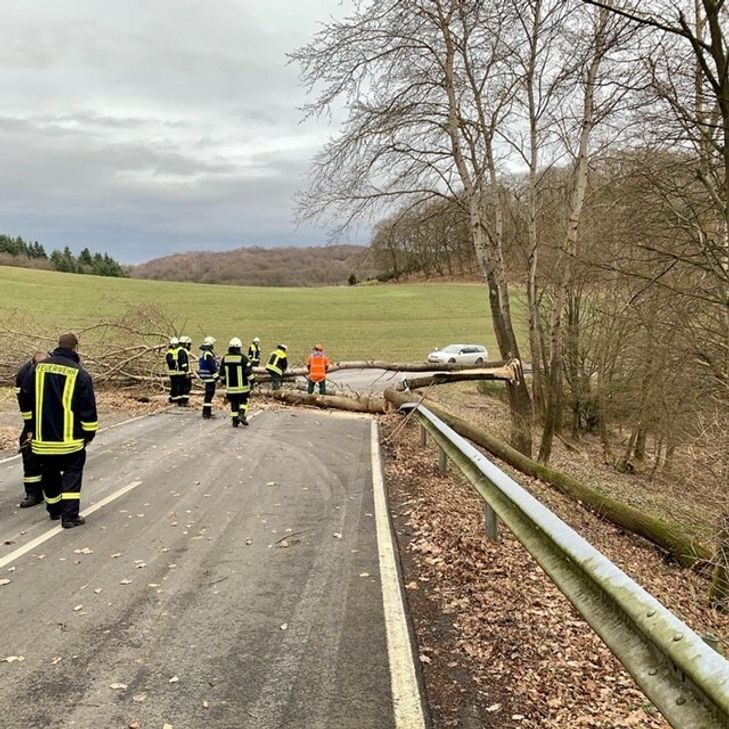 Die Ahrweiler Feuerwehr rückte mehrfach aus, um Sturmschäden zu beseitigen. Foto: Feuerwehr Ahrweiler